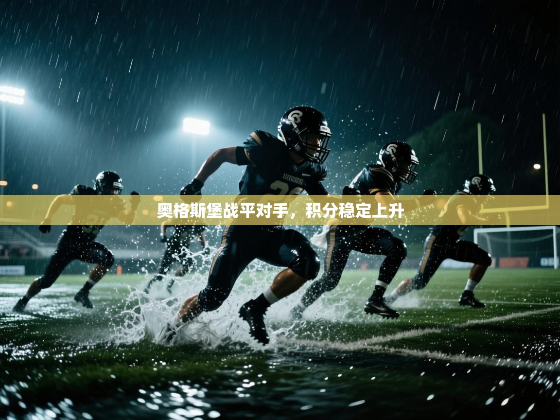 奥格斯堡战平对手，积分稳定上升