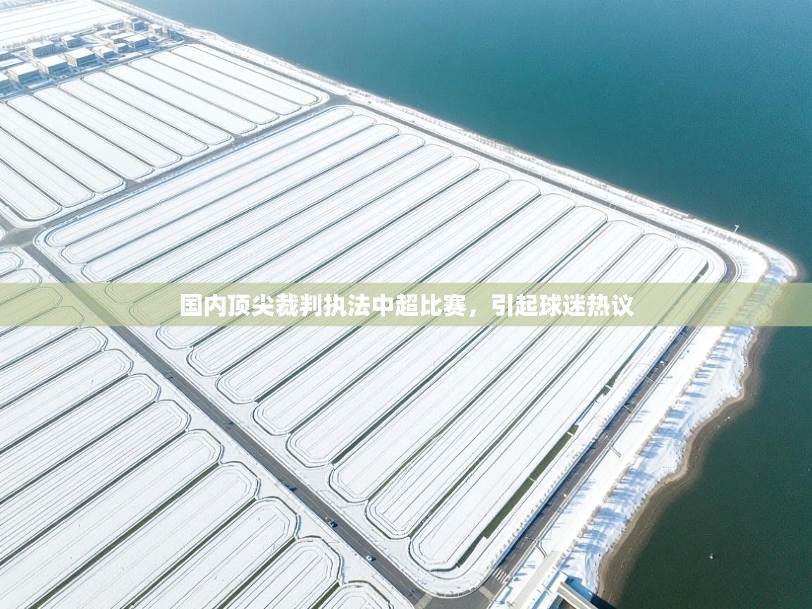 国内顶尖裁判执法中超比赛，引起球迷热议  第1张