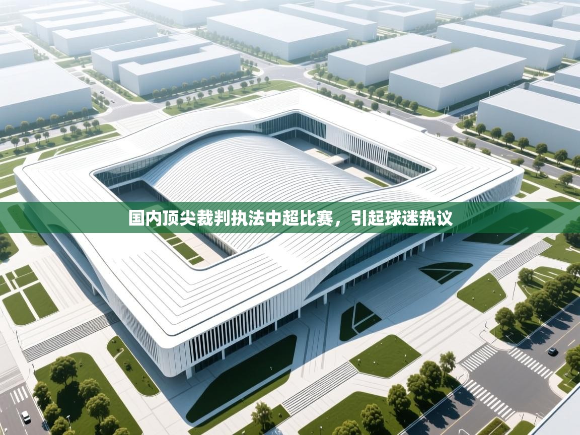 国内顶尖裁判执法中超比赛，引起球迷热议  第2张