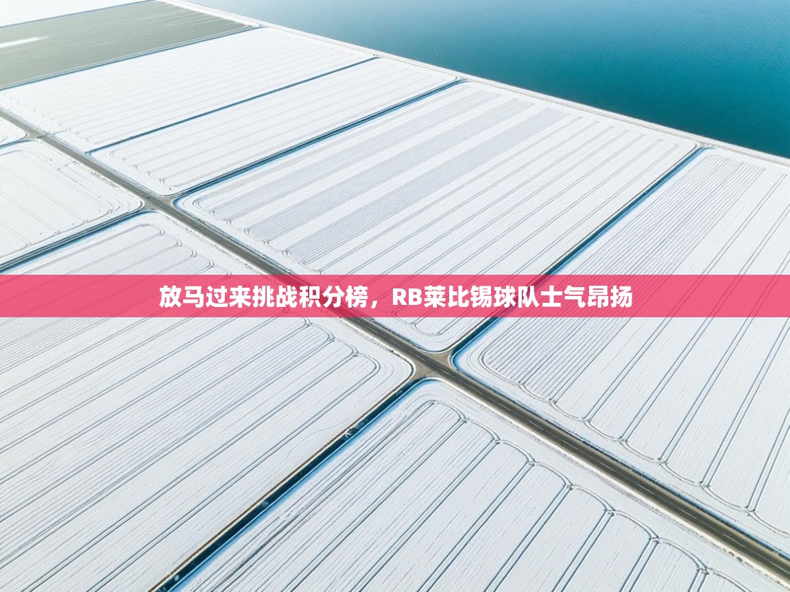 放马过来挑战积分榜,RB莱比锡球队士气昂扬 第1张