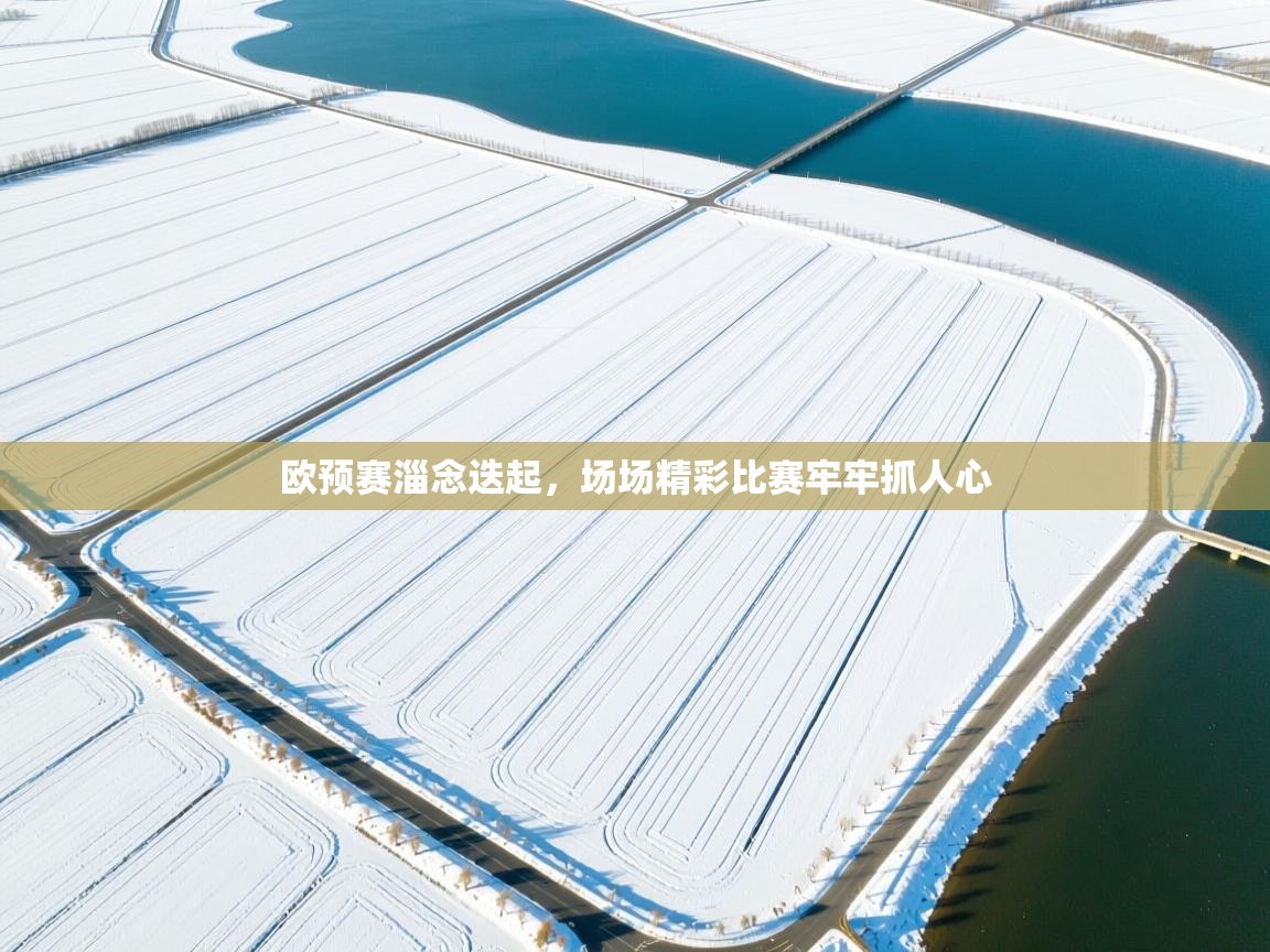 欧预赛淄念迭起，场场精彩比赛牢牢抓人心  第1张