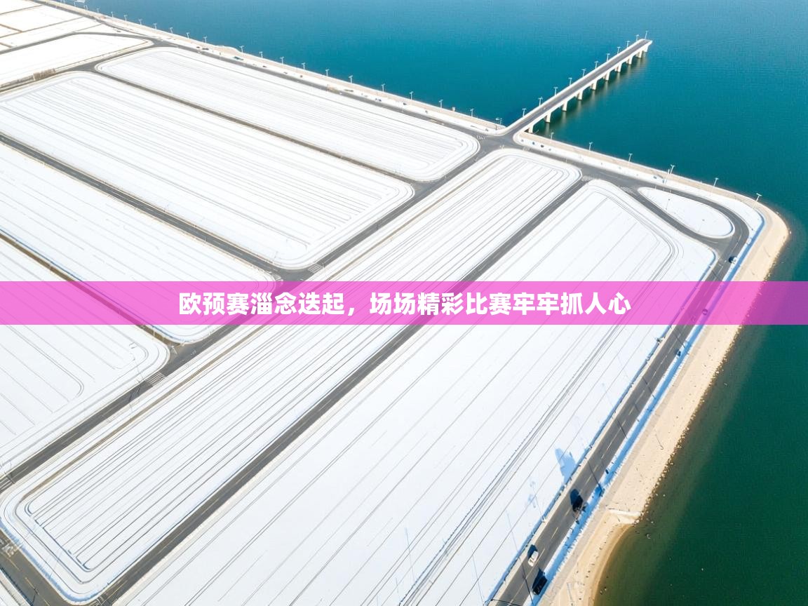 欧预赛淄念迭起，场场精彩比赛牢牢抓人心  第2张