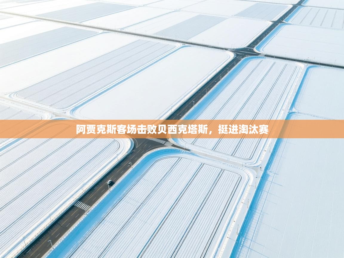 阿贾克斯客场击败贝西克塔斯,挺进淘汰赛 第1张