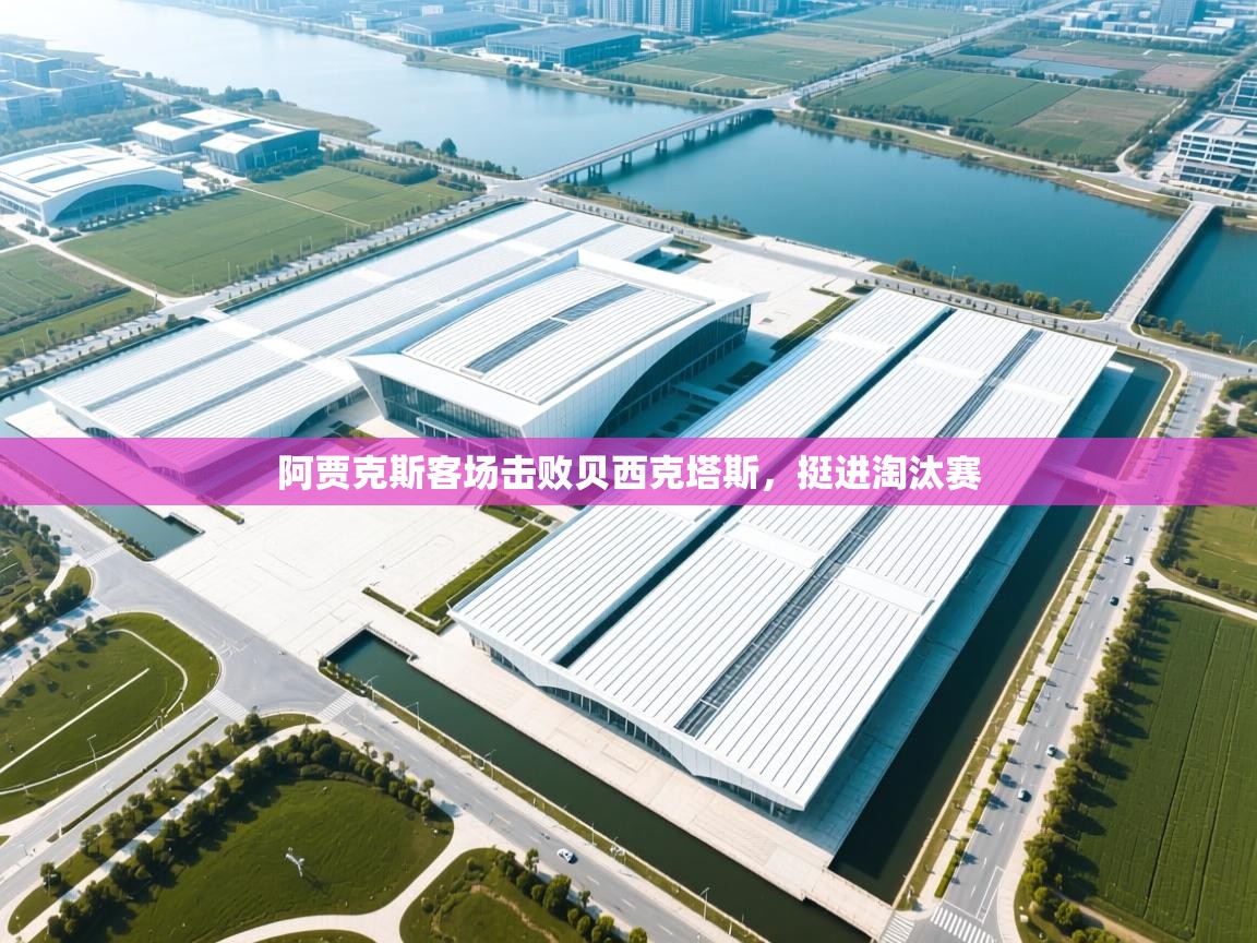 阿贾克斯客场击败贝西克塔斯,挺进淘汰赛 第2张